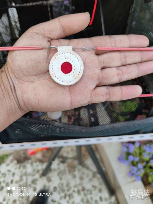 弹弓猎兔弹弓射恶兔，危险的猎物-第3张图片