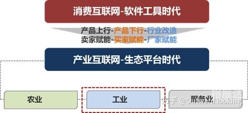 彩卷网，数字化时代的视觉盛宴
