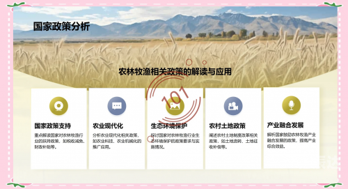 盈乐乐，快乐与智慧的融合