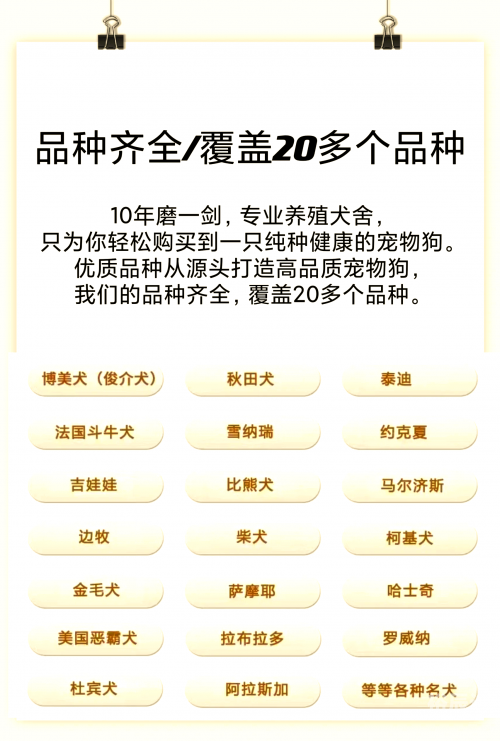 跑狗网出版社新一代的跑狗最新章节列表跑狗网出版，引领宠物文化新篇章-第2张图片