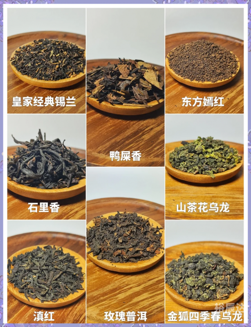 茶叶加盟店排行榜，探寻热门品牌与投资机会