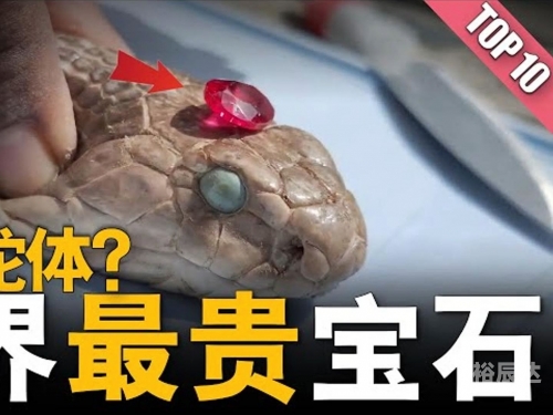 宝石论坛，探索宝石世界的瑰宝