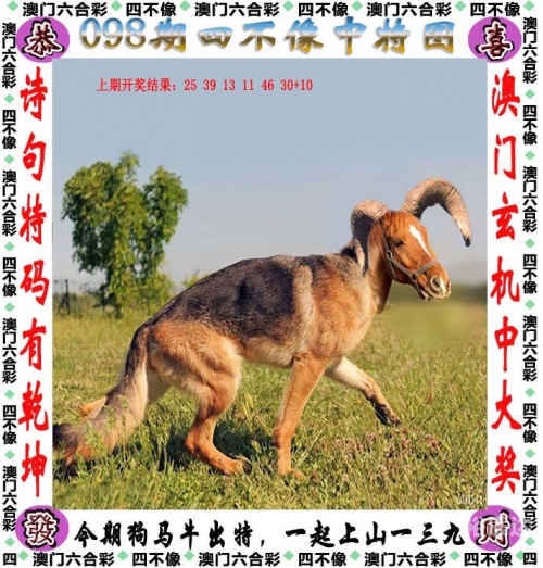 新澳门开奖结果2020+开奖记录_新澳彩开奖记录2024年最新消息-第3张图片