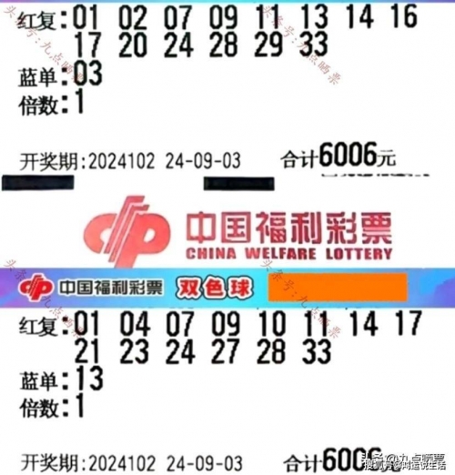 双色球机选双色球机选，彩票投注的新选择-第3张图片