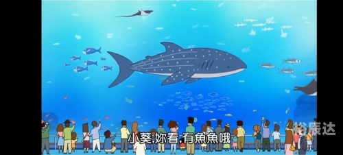 小海龟的奇妙世界-第2张图片