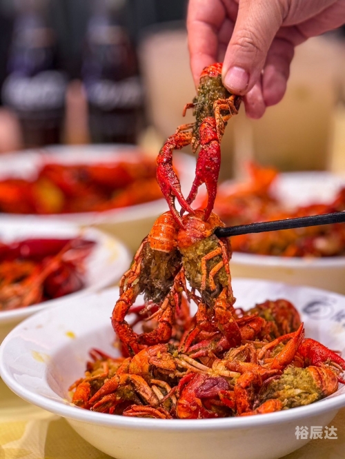 大胃王下载，探索美食天堂的新途径