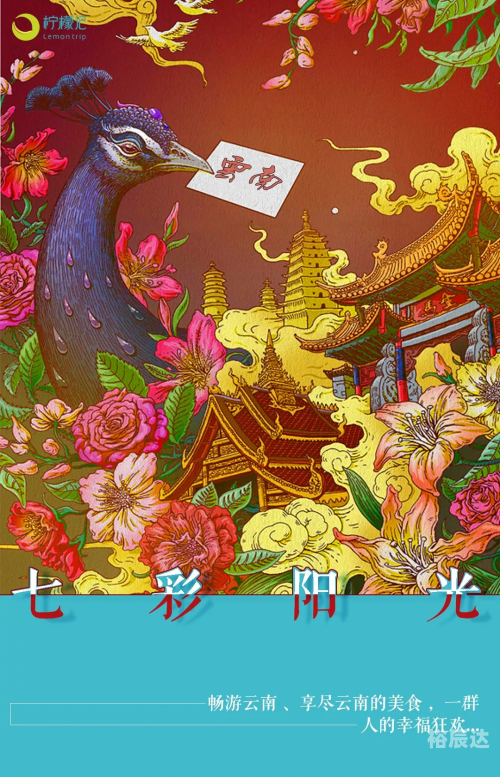 百乐游，畅游美好时光-第1张图片