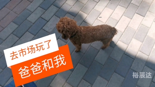 今天买什么今天买什么-第2张图片