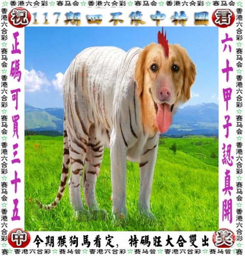 澳门一肖一码必中一肖今晚MBA