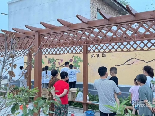 缤纷网缤纷网，网络世界的多彩画卷