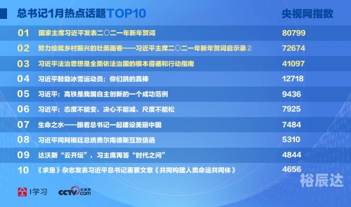 2020澳门精准资料大全传真2004新澳精准资料免费提供，深度解析与优势展示-第2张图片