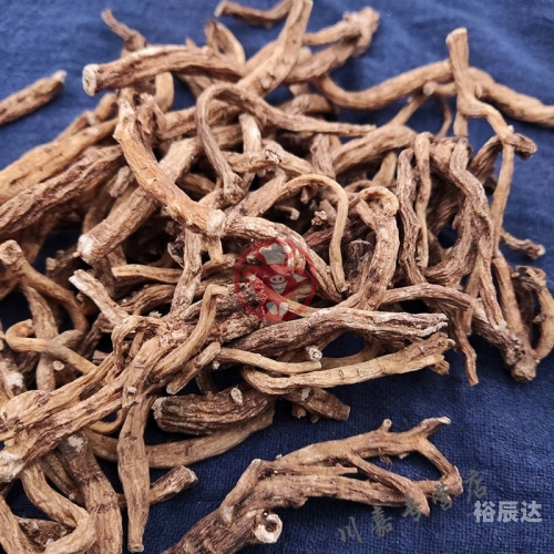 小草乌草药图片功效小草乌的魅力与故事-第1张图片