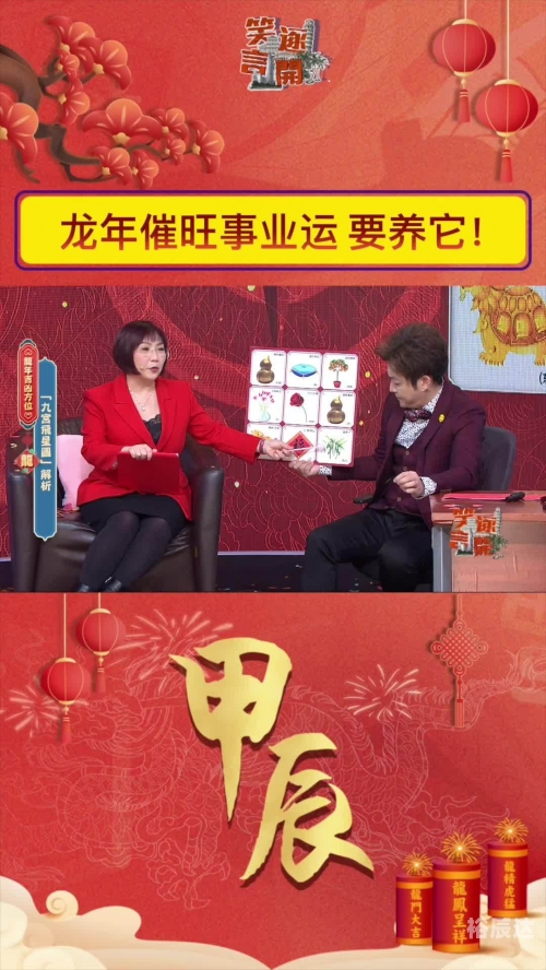 麦玲玲2024年龙年运程书麦玲玲2024年龙年运程