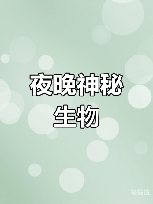 七夜娃娃七夜娃娃，神秘生物的探索之旅-第2张图片