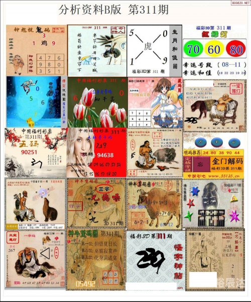 波肖门尾图库资料中心波肖门尾彩色图库，探索视觉盛宴-第2张图片
