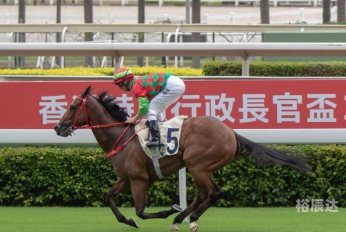 2019香港马会全年资枓大全2019香港马会全年资枓大全
