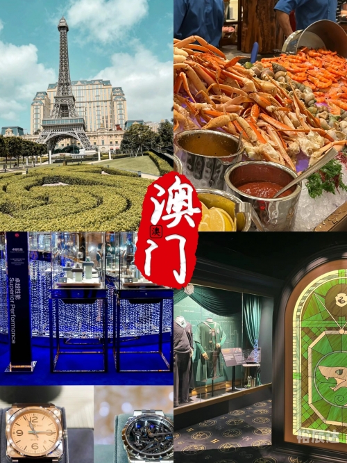 香港澳门资料大全，T开号介绍