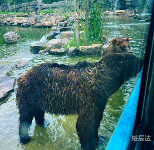 蝴蝶谷网址娱乐网，探索网络世界的奇妙之旅-第2张图片