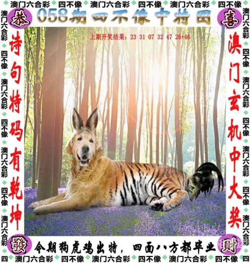 管家婆三肖三期必出一期，智慧与机遇的见证-第2张图片