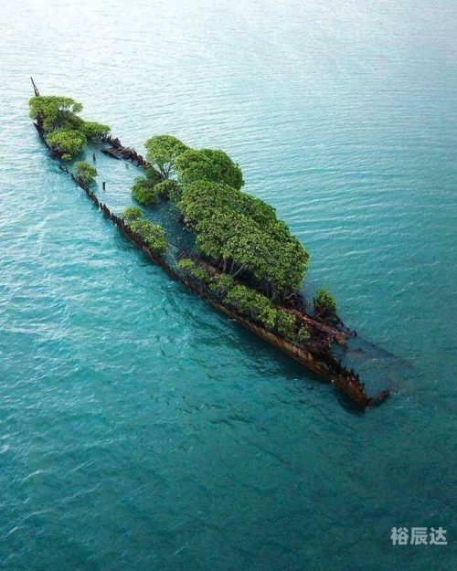 金富利心水论坛，探索心灵交流的海洋