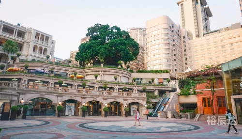 香港6合总彩香港6合总彩，探索彩市新天地