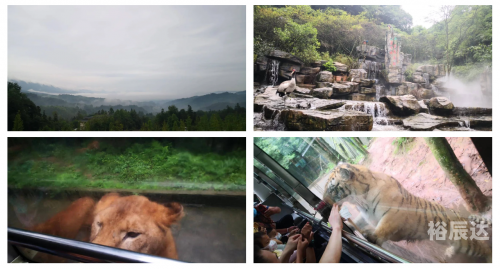 碧峰峡住宿体验-第2张图片