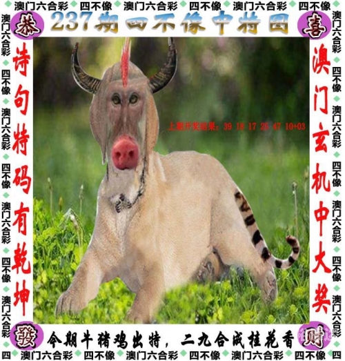 澳门一肖一码一必开一肖澳门一肖一码一必开一肖，揭秘彩票游戏-第2张图片