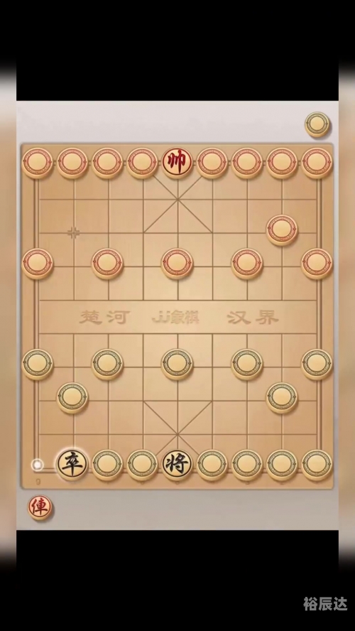 中国象棋大师王中国象棋大师王，棋艺精湛，成就非凡