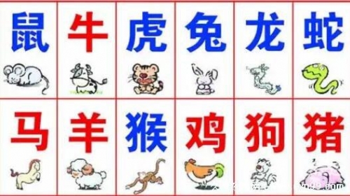 2023新版生肖卡1-49数字2023新版生肖卡，开启新一年的神秘魅力-第2张图片