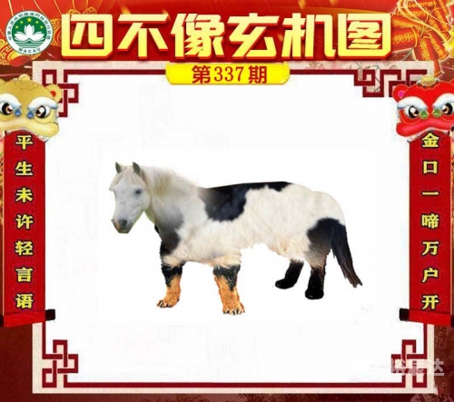 澳门正版资料大全资料贫无担石
