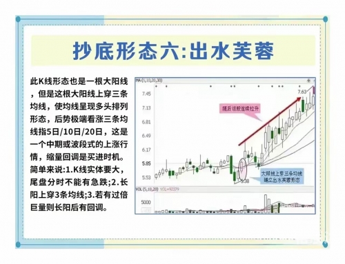 股票出水芙蓉是指什么意思出水芙蓉，寓意非凡-第1张图片