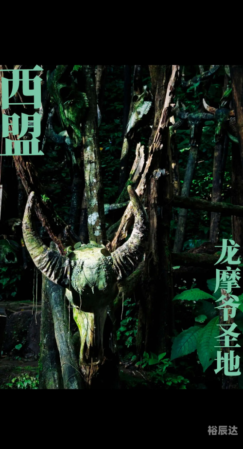 牛头挂角是吉祥——生肖龙-第1张图片