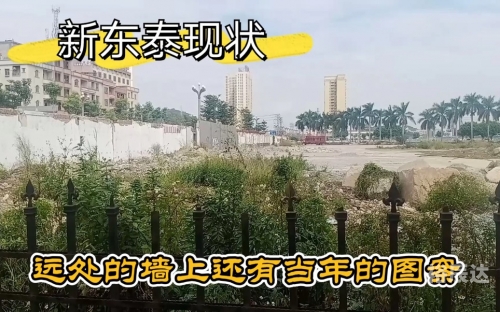 新东泰事件 尸骸新东泰事件概述