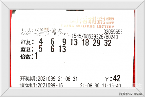 99期开奖结果揭秘99期开奖结果-第2张图片