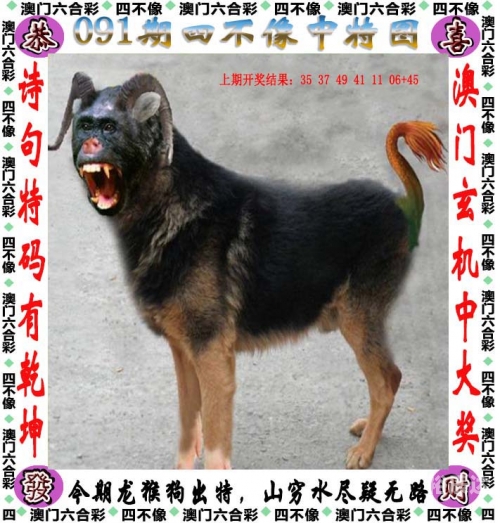 2024香港特马今晚开奖2024香港特马今晚开奖，彩票热潮与未来展望