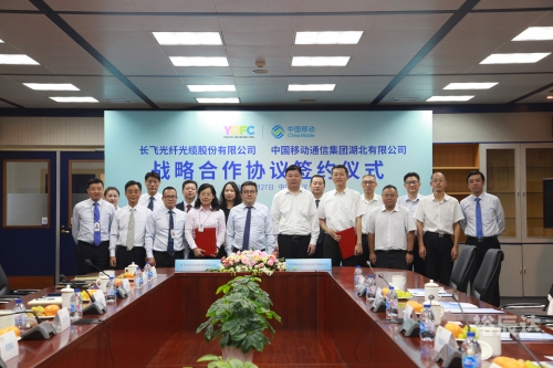 香港6合宝典资料2020年，探索智慧与机遇-第2张图片