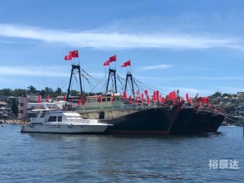 香港6合宝典资料2020年，探索智慧与机遇