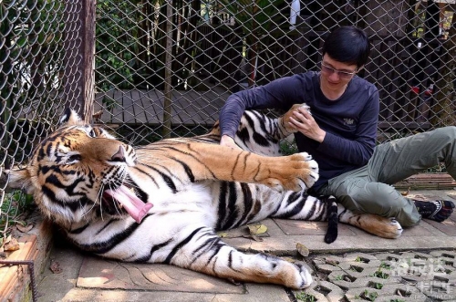 三脚猫论坛，探索网络交流的新天地