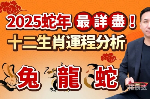 二八追求五迟疑是什么生肖二八追求五迟疑是什么生肖