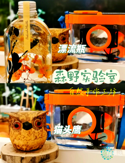 森林游戏，探索自然的奇妙世界-第2张图片