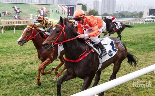 香港马赛马会最准资料香港马赛马会最准资料-第2张图片