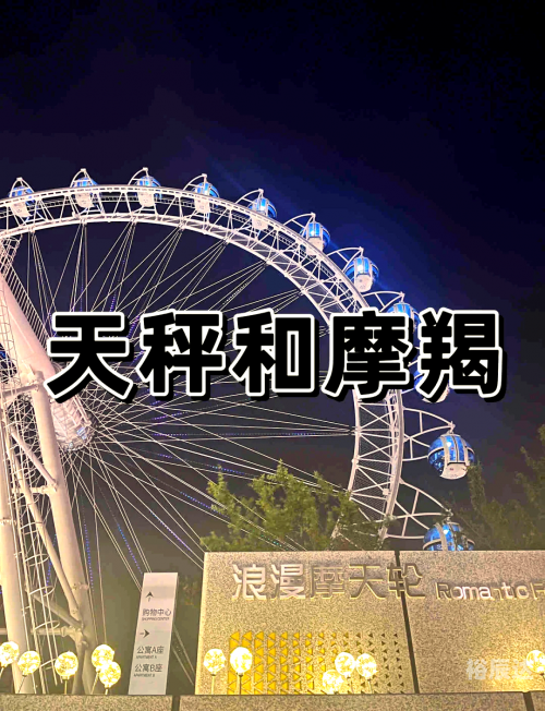 新浪星座速配查询新浪星座速配，揭示未来之约