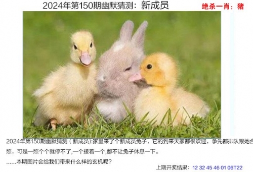 澳门2023历史开奖结果澳门2023历史开奖结果回顾-第2张图片