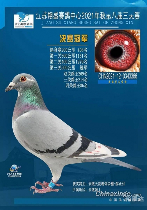 江苏11选五走势结果图