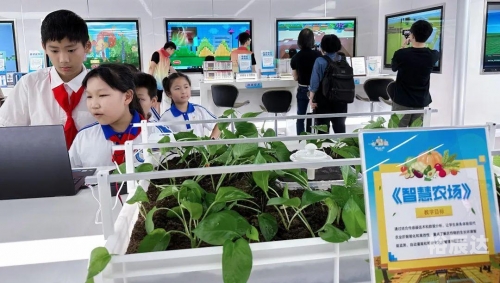 445544.com，探索数字时代的无限可能-第2张图片