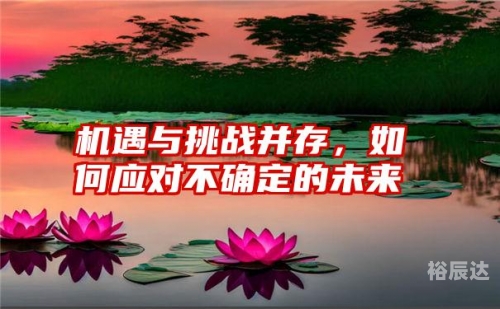 比思上不去的挑战与应对