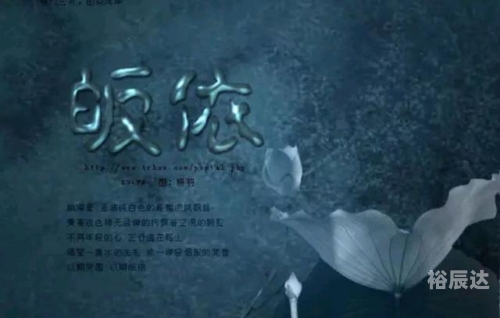 金光佛论坛，探寻佛法智慧与心灵交流的平台