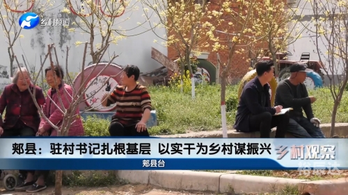 江苏村官饭桌上视频江苏村官，扎根基层，服务乡村振兴-第1张图片