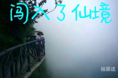 蓝姐三中三规律论坛，探寻数字游戏中的智慧与策略-第3张图片