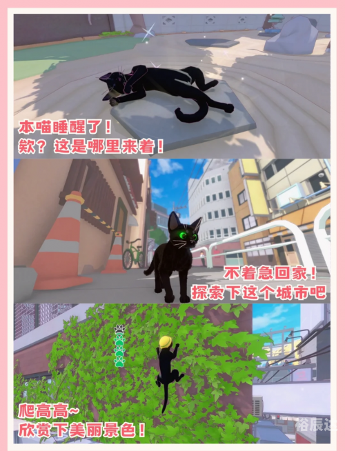 小猫咪大城市正版游戏小猫咪在大城市